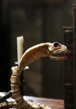 39'' Cobra Skeleton -Fun Costumes Shop 39 cobra skeleton 2