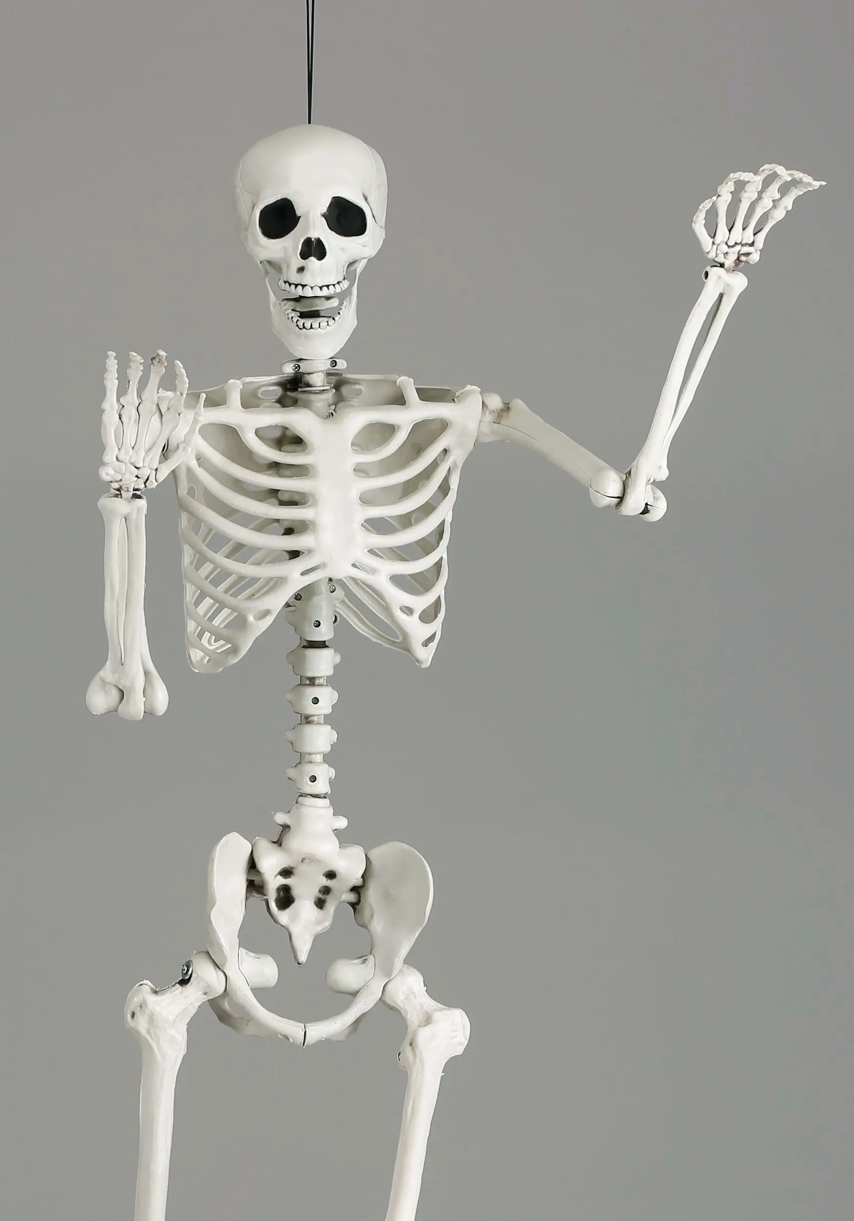5 Ft Posable Skeleton Decoration 6 5 Ft Posable Skeleton Decoration - Image 6