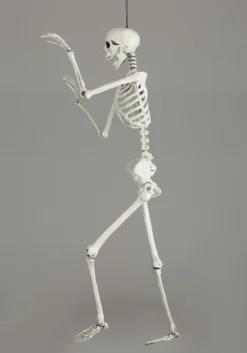 5 Ft Posable Skeleton Decoration 13 5 Ft Posable Skeleton Decoration -Fun Costumes Shop 5 ft posable skeleton alt 2