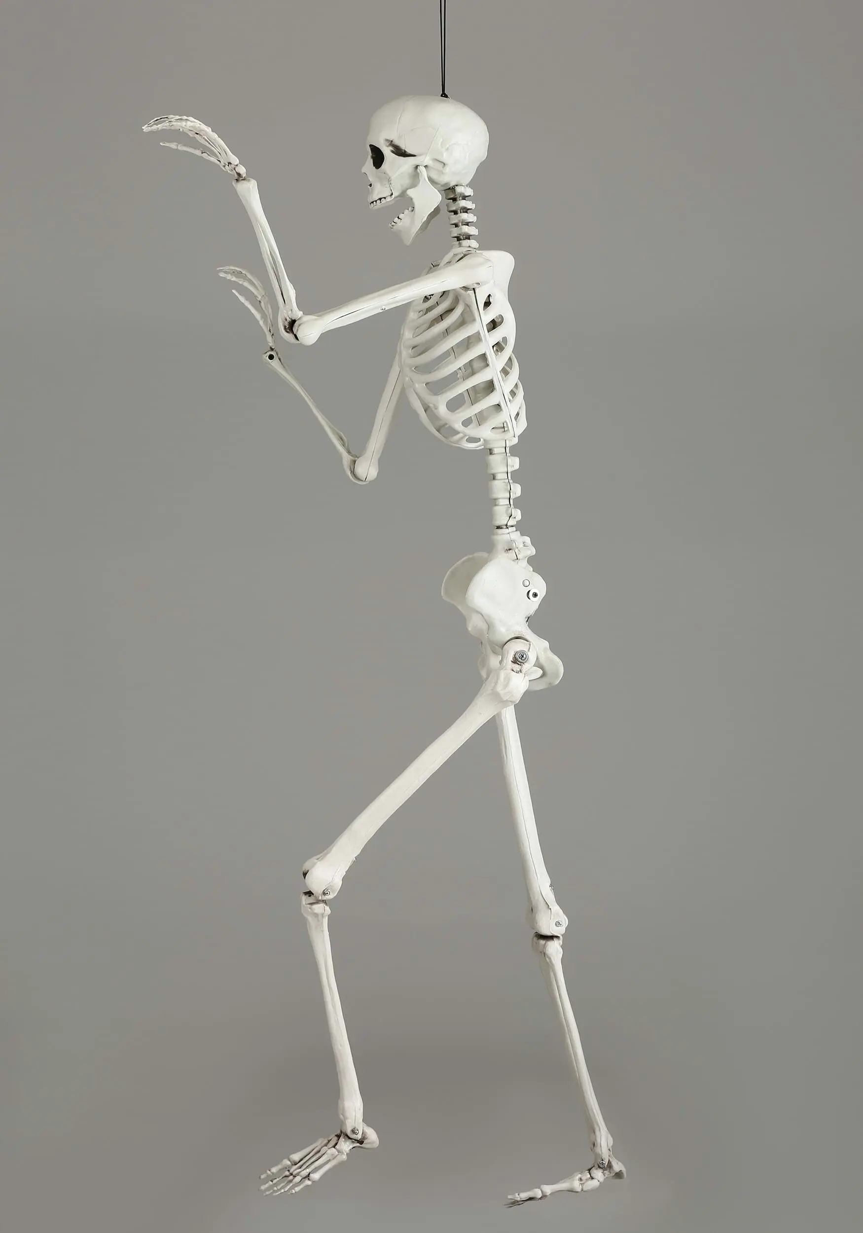 5 Ft Posable Skeleton Decoration 7 5 Ft Posable Skeleton Decoration - Image 7