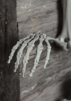 5 Ft Posable Skeleton Decoration 10 5 Ft Posable Skeleton Decoration -Fun Costumes Shop 5 ft posable skeleton alt 3