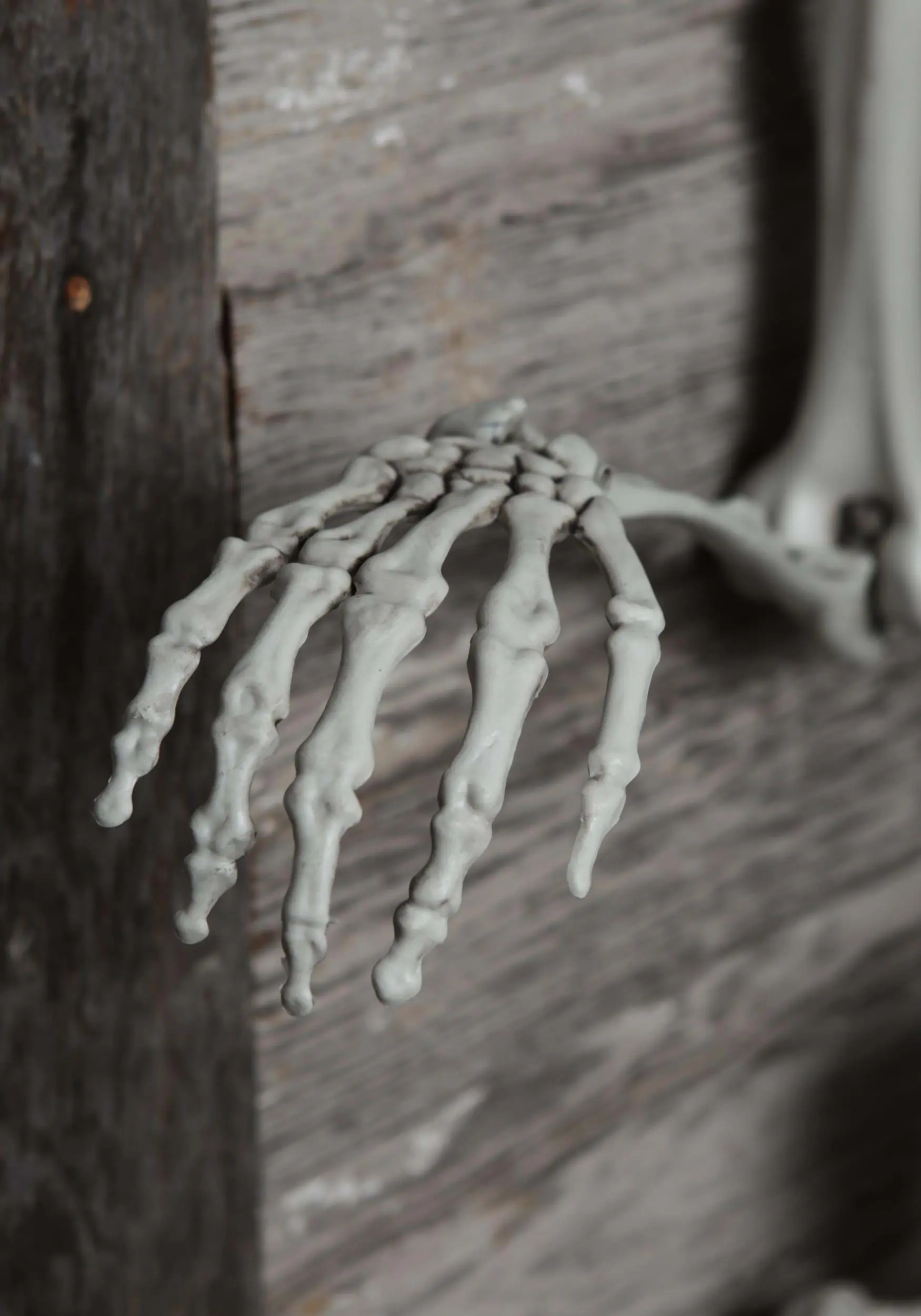 5 Ft Posable Skeleton Decoration 4 5 Ft Posable Skeleton Decoration - Image 4