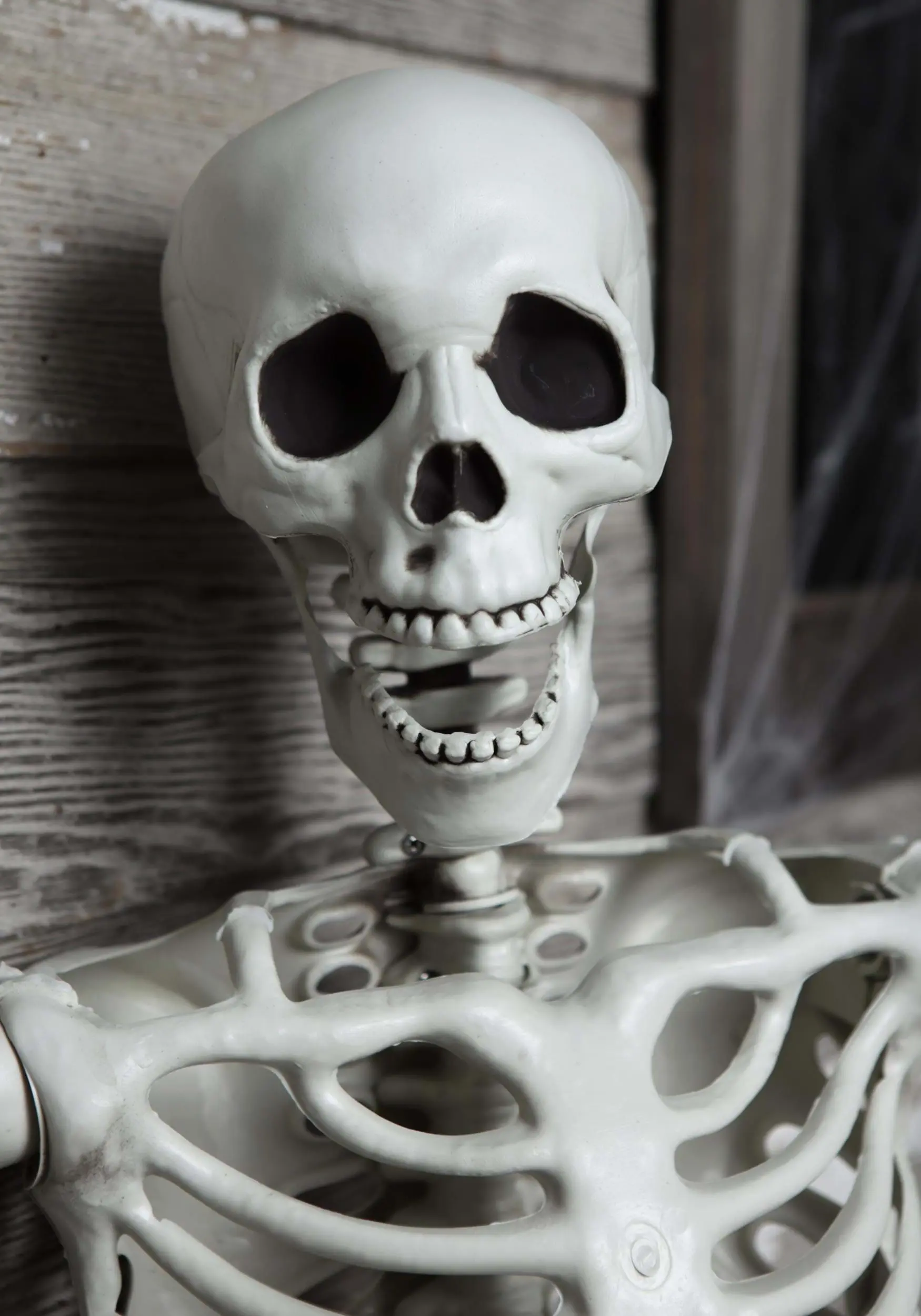 5 Ft Posable Skeleton Decoration 3 5 Ft Posable Skeleton Decoration - Image 3