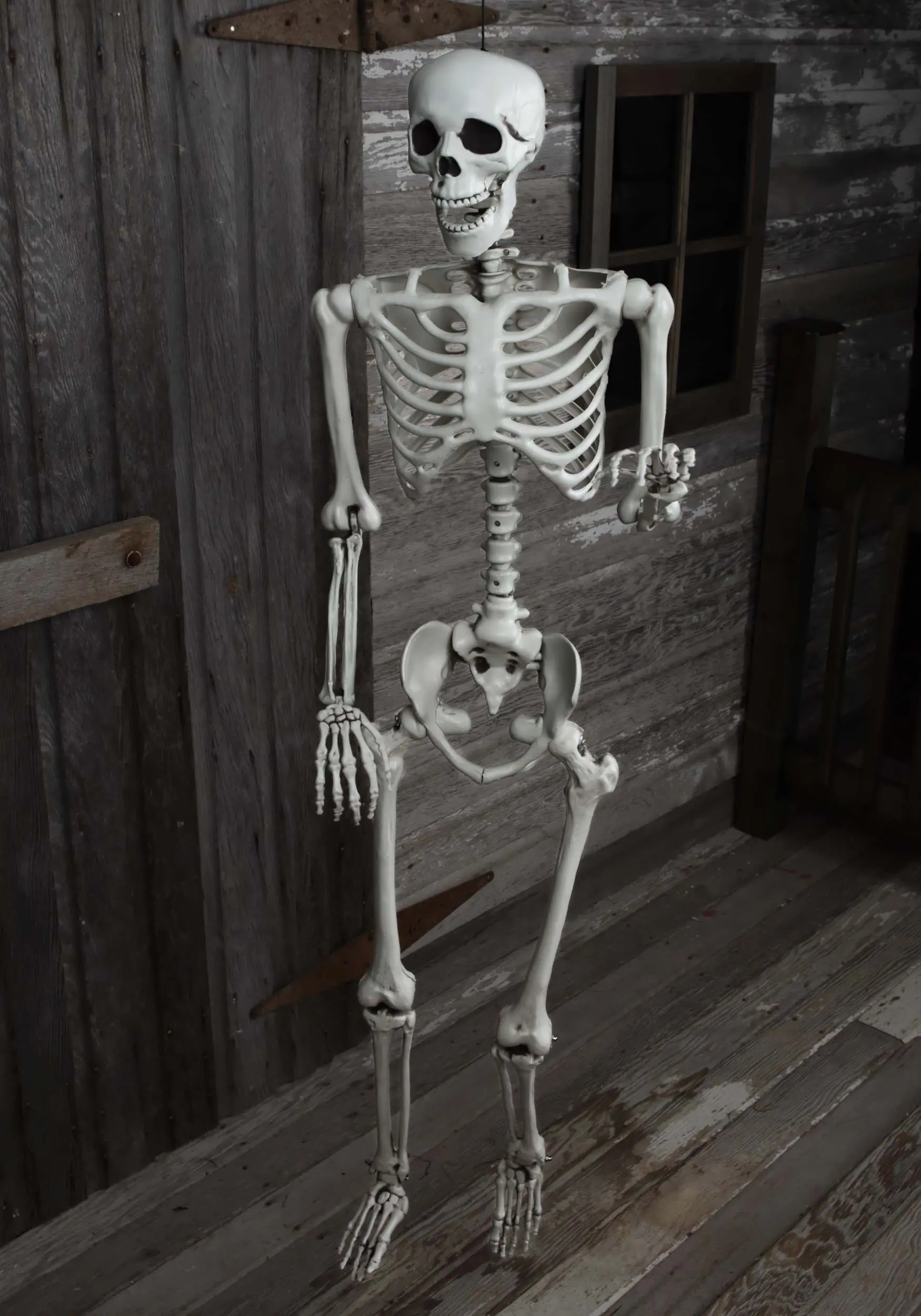 5 Ft Posable Skeleton Decoration 2 5 Ft Posable Skeleton Decoration - Image 2
