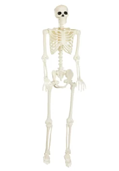 60" Blacklight Ghostly Skeleton -Fun Costumes Shop 60 blacklight ghostly skeleton alt 1
