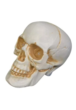 7" Realistic Talking Skull