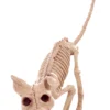 Kitty 7.5" Skeleton