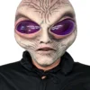 Adult Grey Alien Mask