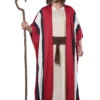 Adult Moses Costume