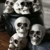 24 Skulls In A Bag