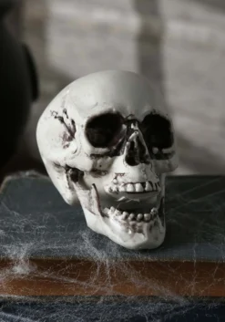 24 Skulls In A Bag -Fun Costumes Shop bag of 24 skulls mc0151 alt 2