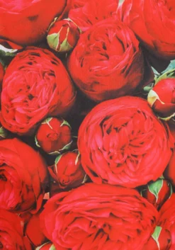 Adult Bouquet Of Roses Sandwich Board Costume -Fun Costumes Shop bouquet of roses sandwich board costume alt 3