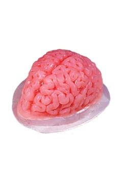 Fun World Brain Gelatin Mold