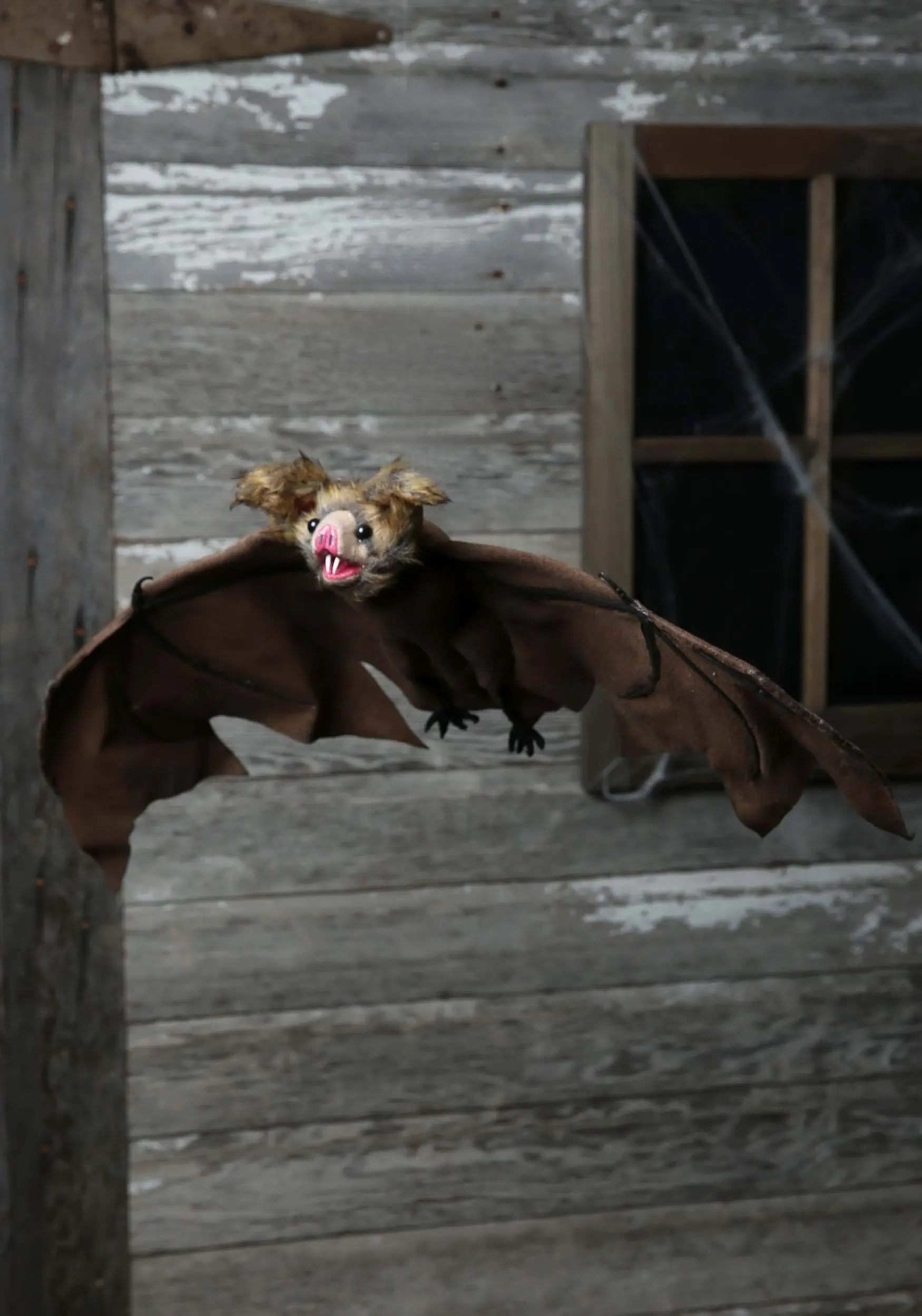 3 Pack Brown Bat 2 3 Pack Brown Bat - Image 2