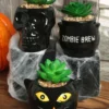 Cauldron, Cat, & Skeleton Halloween Succulent Planter Set