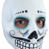 Day Of The Dead Catrina Mask