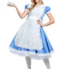 Elite Alice Women's Costume