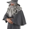 Gandalf The Gray Costume Hat