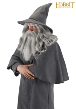Gandalf The Gray Costume Hat