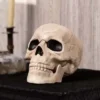 Glow In The Dark Skull Halloween Decoration