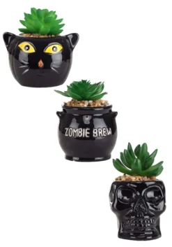 Cauldron, Cat, & Skeleton Halloween Succulent Planter Set -Fun Costumes Shop halloween succulent planter set cauldron cat sk alt 1