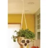 Fun World Hanging Bone Color Skull Planter