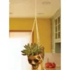 Fun World Hanging Gold Color Skull Planter