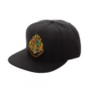 The Hogwarts Crest Snap Back Hat