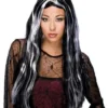 Black And White Streaked Long Wig