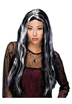 Black And White Streaked Long Wig