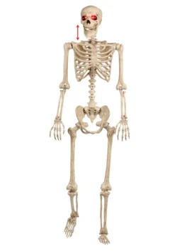Mr. Crazy Bonez Animated Skeleton -Fun Costumes Shop mr crazy bonez animated skeleton alt 2