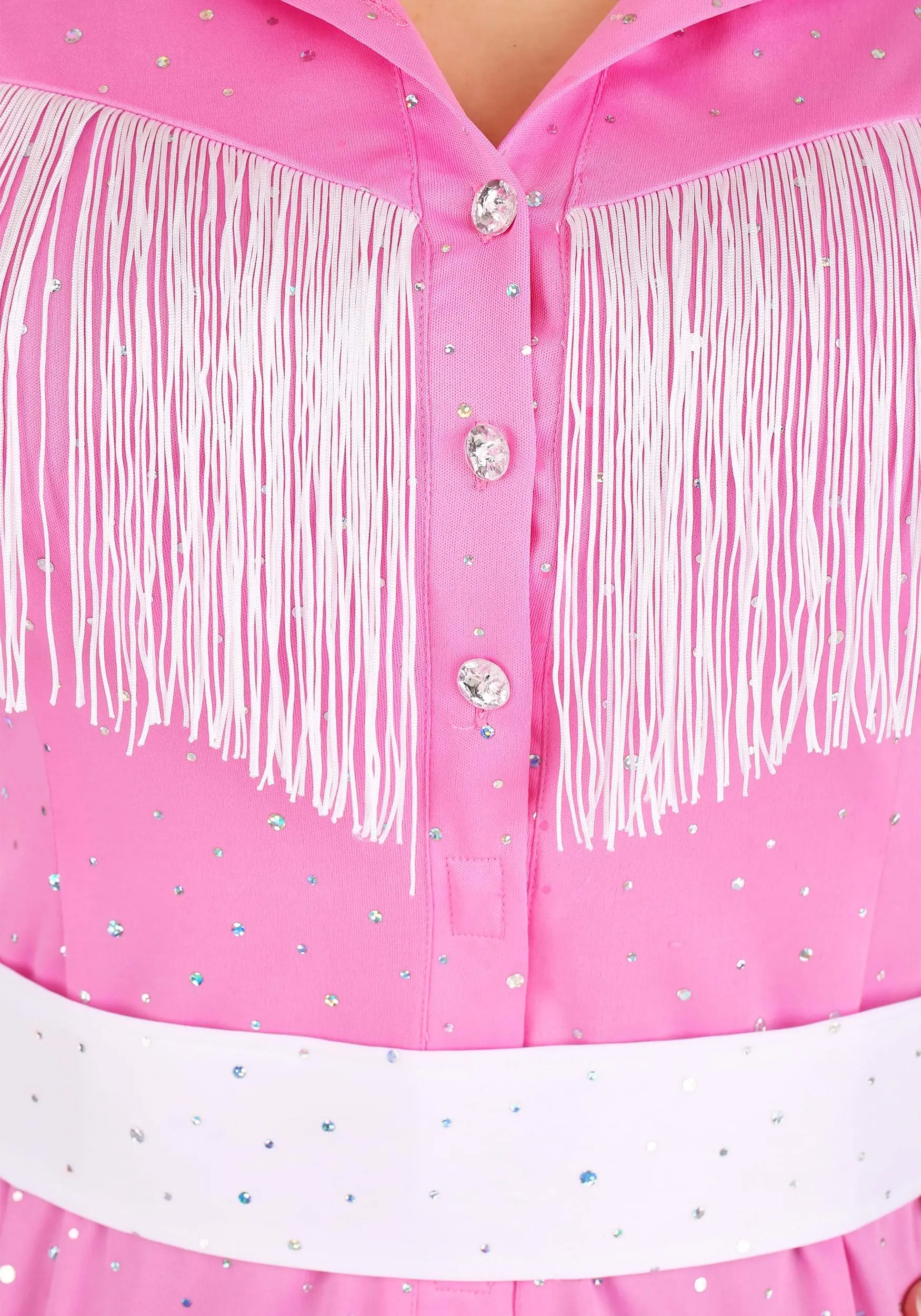 Armada Plus Size Country Singer Costume 6 Armada Plus Size Country Singer Costume - Image 6