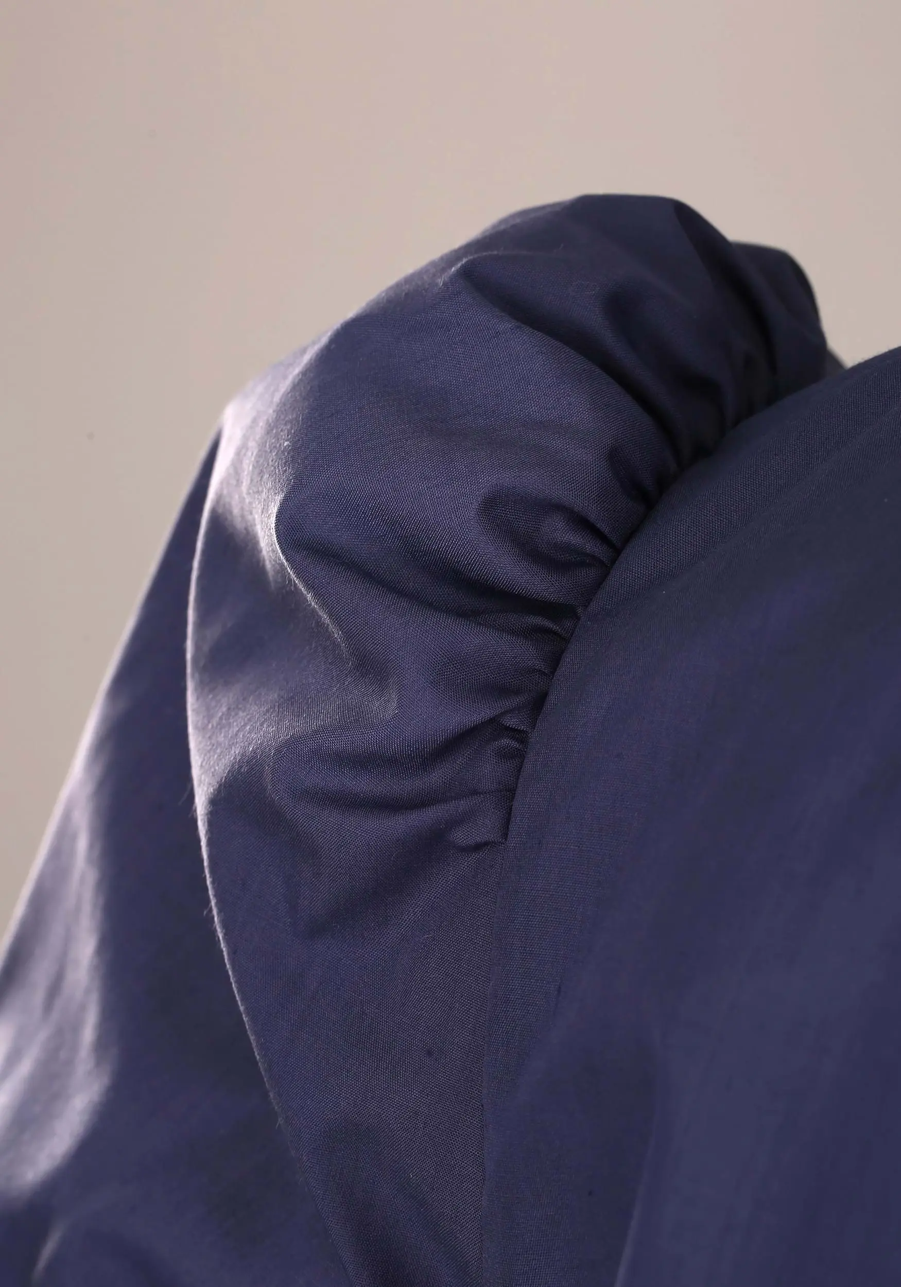 Plus Size Jane Austen Literary Costume 5 Plus Size Jane Austen Literary Costume - Image 5