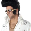 Rock Legend Costume Wig