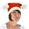 Santa Knit Adult Hat