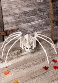 Skeleton Spider
